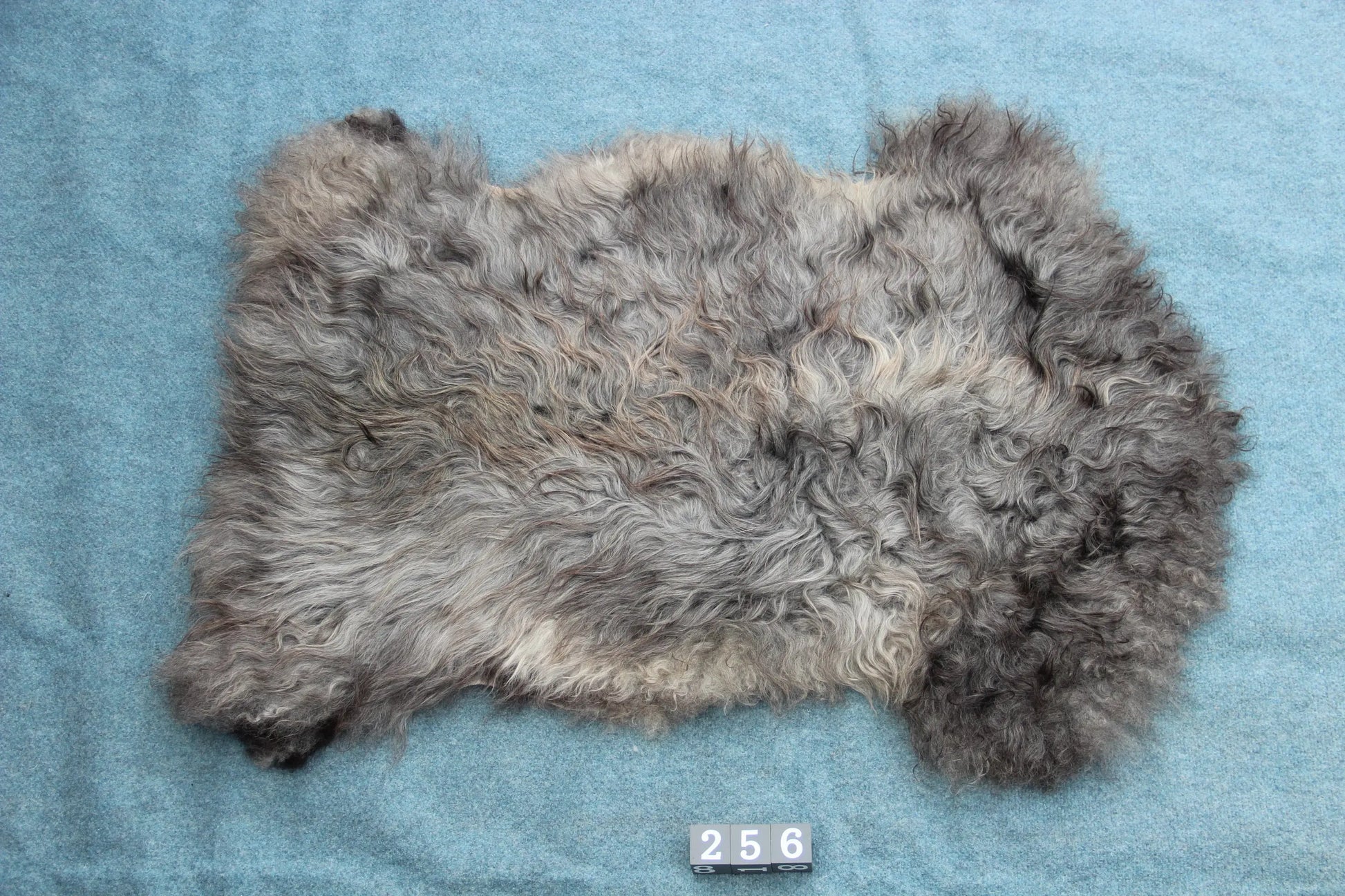 Gotland Schaffell (256)