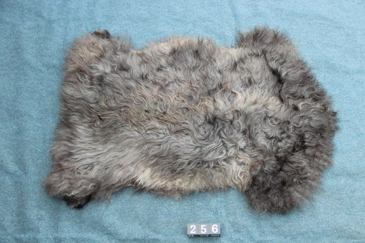 Gotland Schaffell (256)