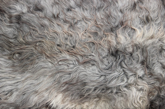 Gotland Schaffell (256)