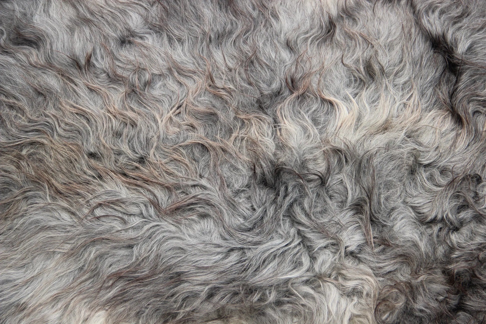 Gotland Schaffell (256)