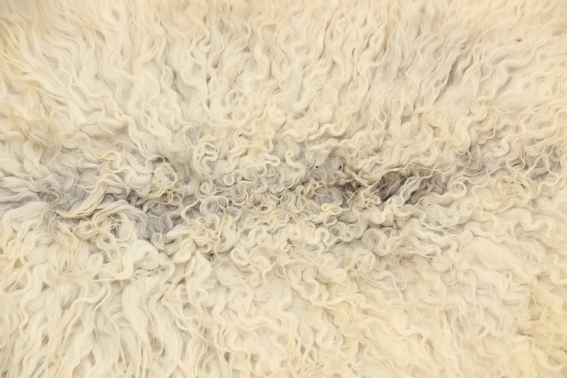 Gotland Schaffell (252)