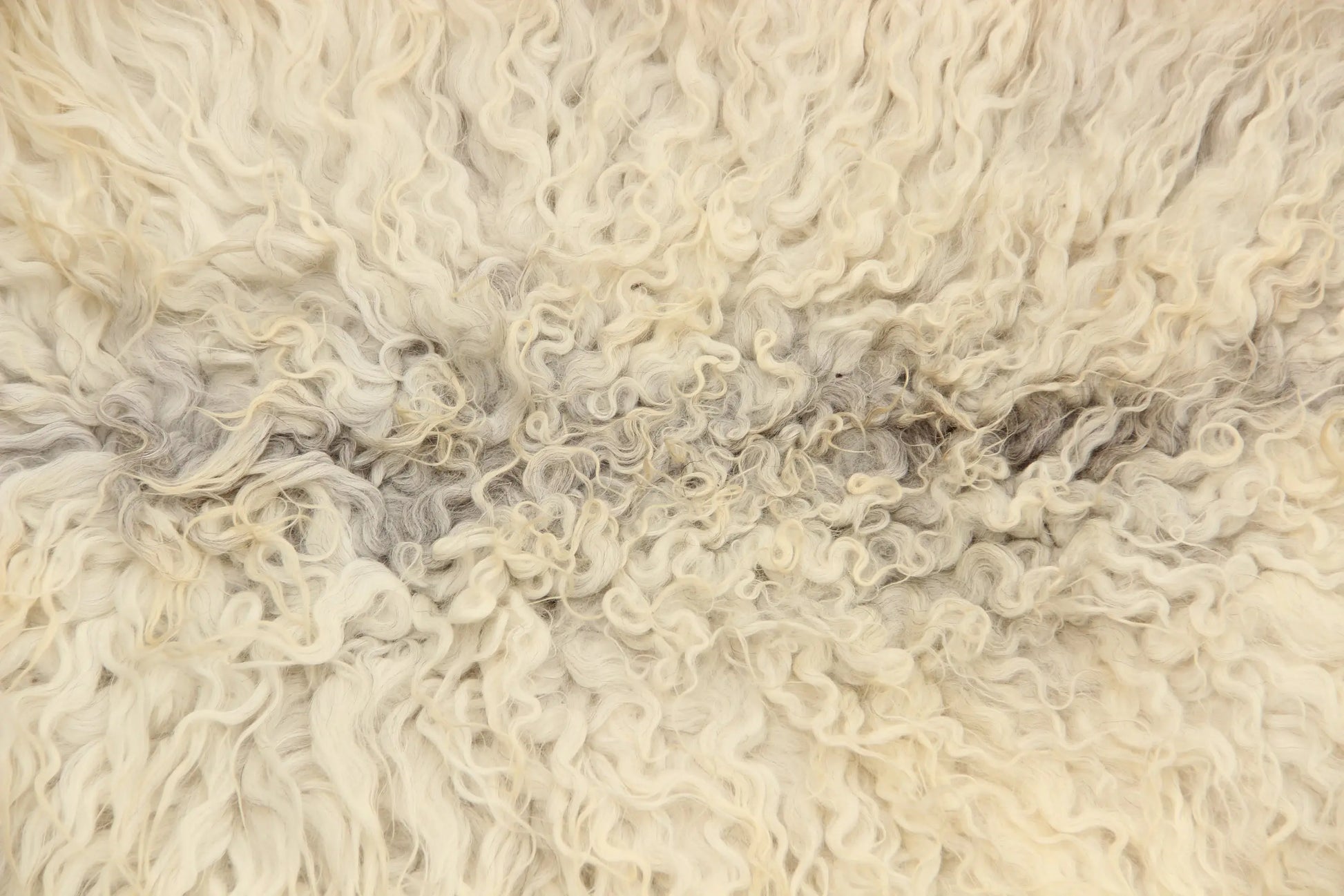 Gotland Schaffell (252)