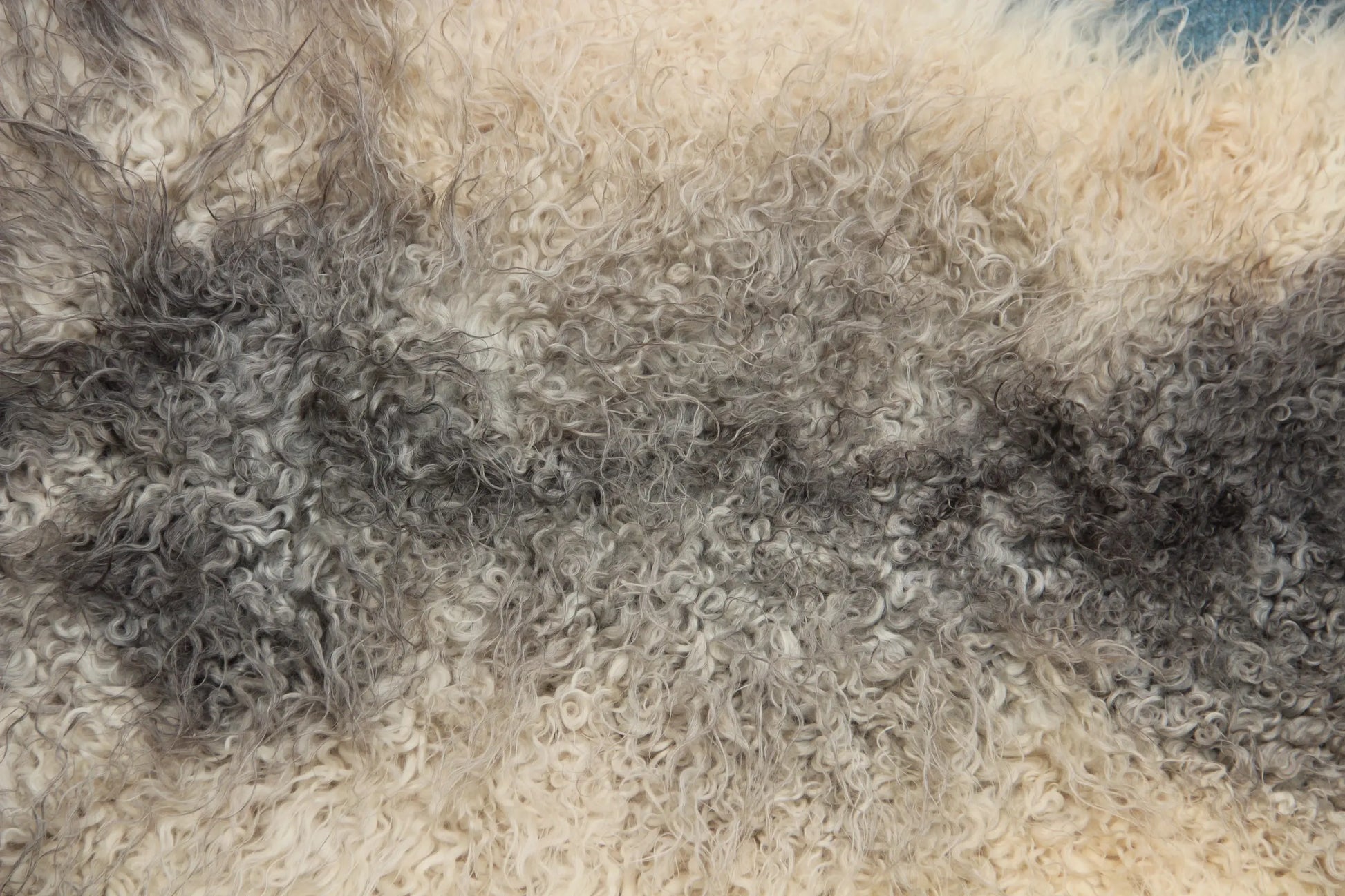 Gotland Schaffell (263)