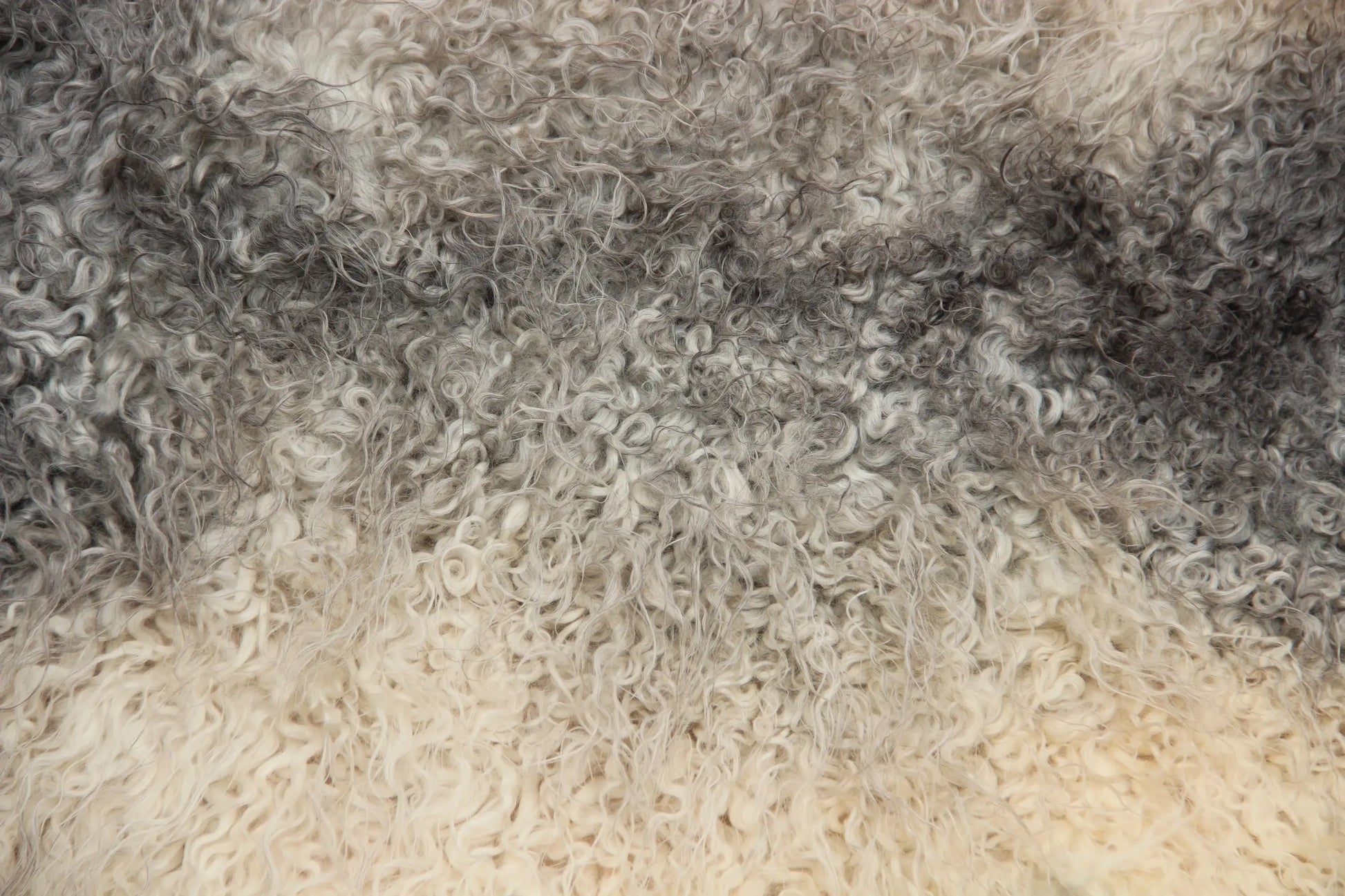 Gotland Schaffell (263)