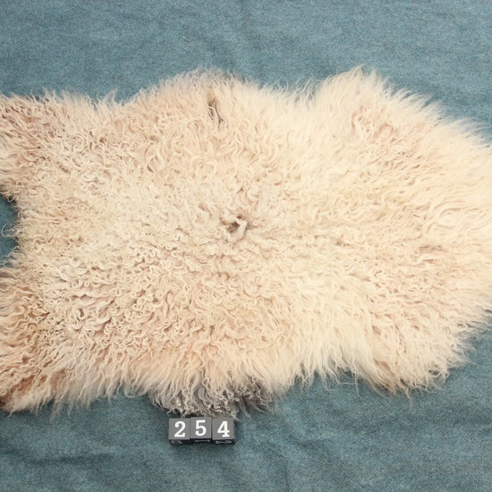 Gotland Schaffell (254)