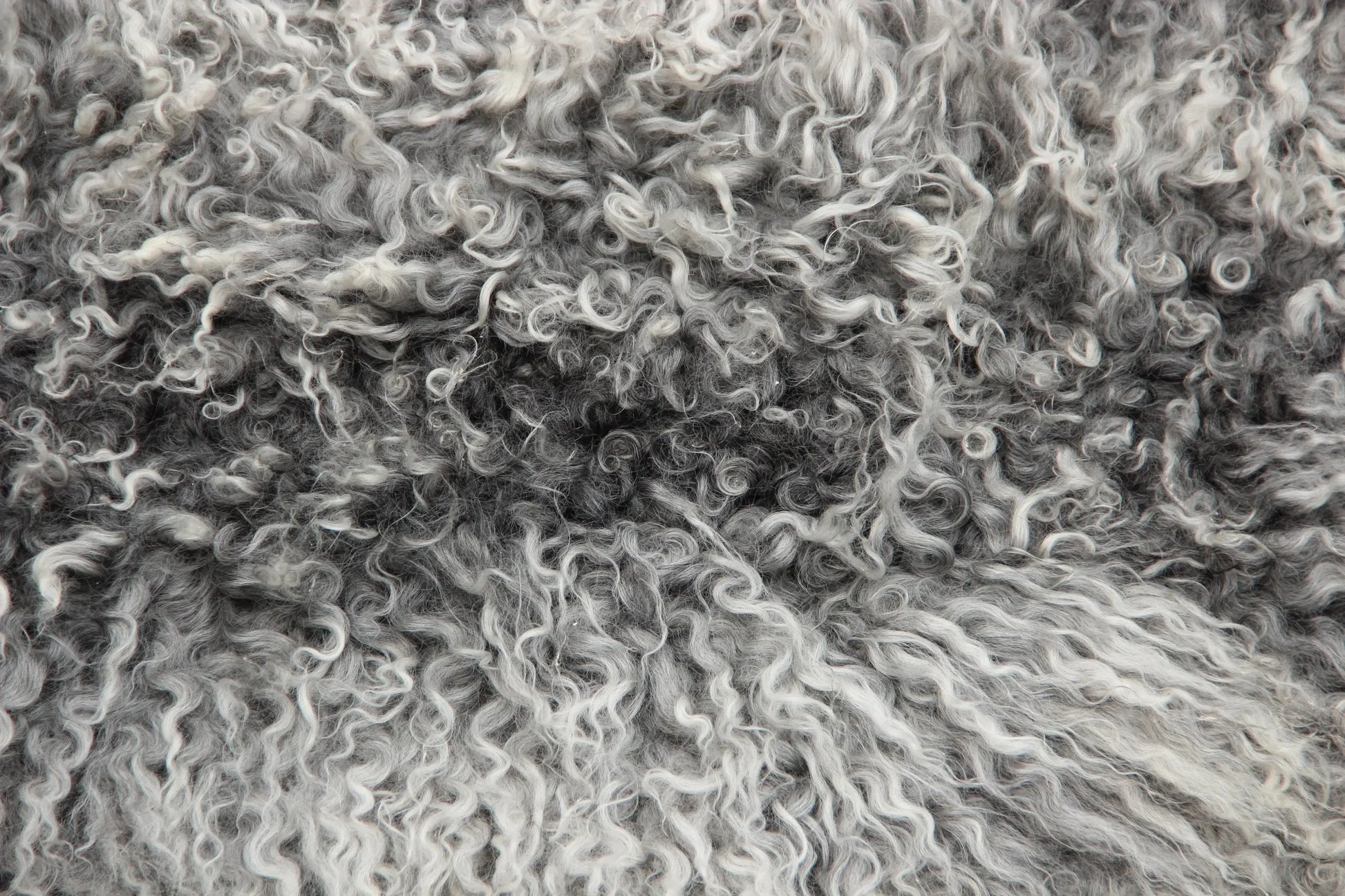 Gotland Schaffell (261)