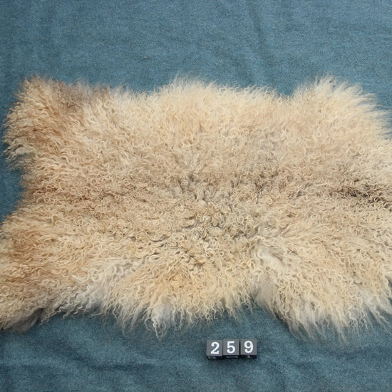 Gotland Schaffell (259)