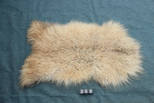 Gotland Schaffell (259)