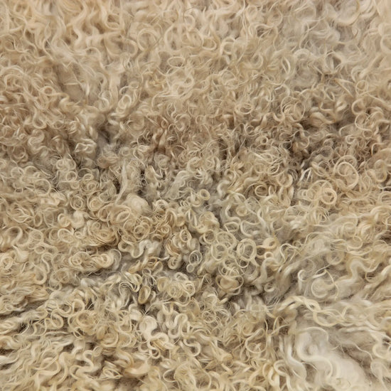 Gotland Schaffell (259)