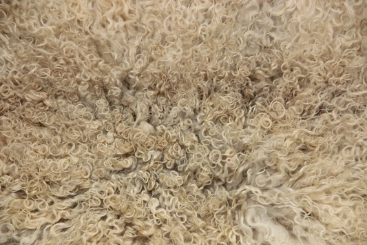 Gotland Schaffell (259)