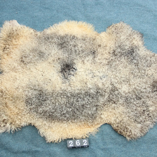 Gotland Schaffell (262)