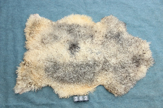 Gotland Schaffell (262)