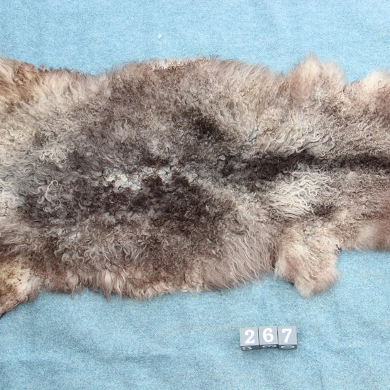 Gotland Schaffell (267)