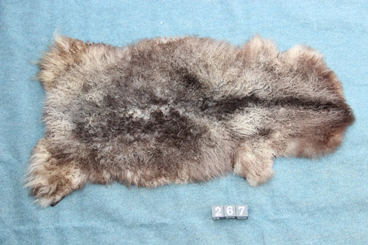 Gotland Schaffell (267)