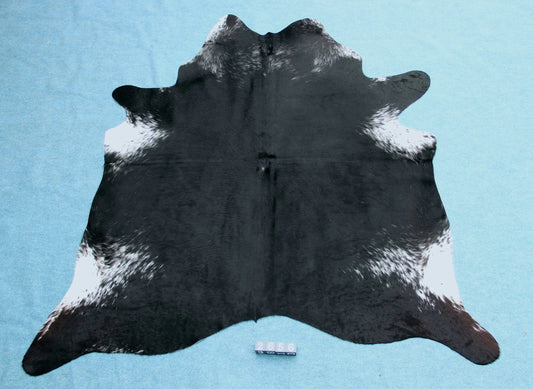 Kuhfell Schwarz Weiß gesprenkelt (2656) 2-3 qm