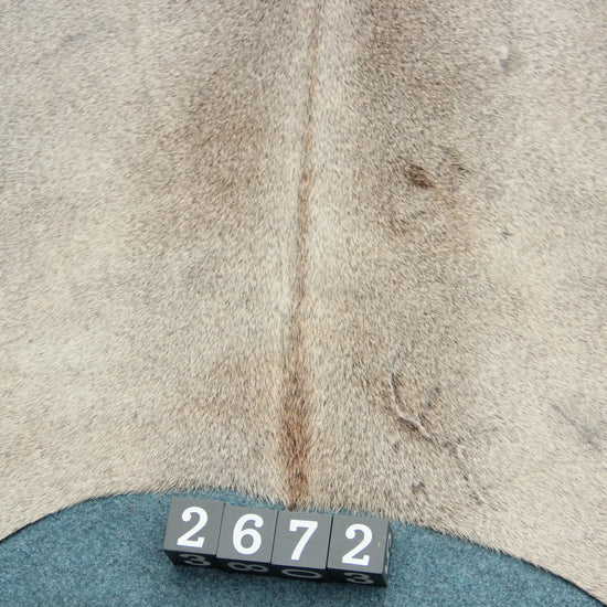 Kuhfell Grau Weiß (2672) 2-3 qm