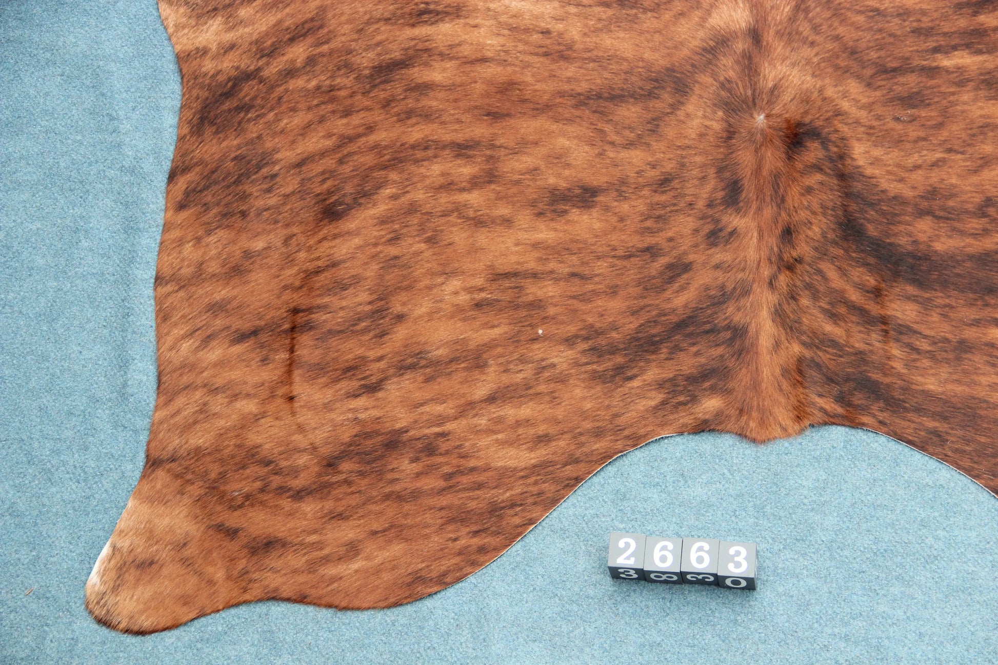 Kuhfell Braun Schwarz getigert (2663) 2-3 qm