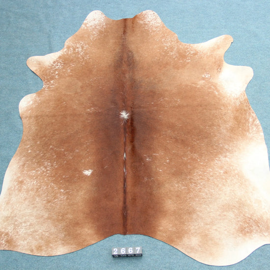 Kuhfell Beige Braun Weiß gesprenkelt (2667) 2-3 qm