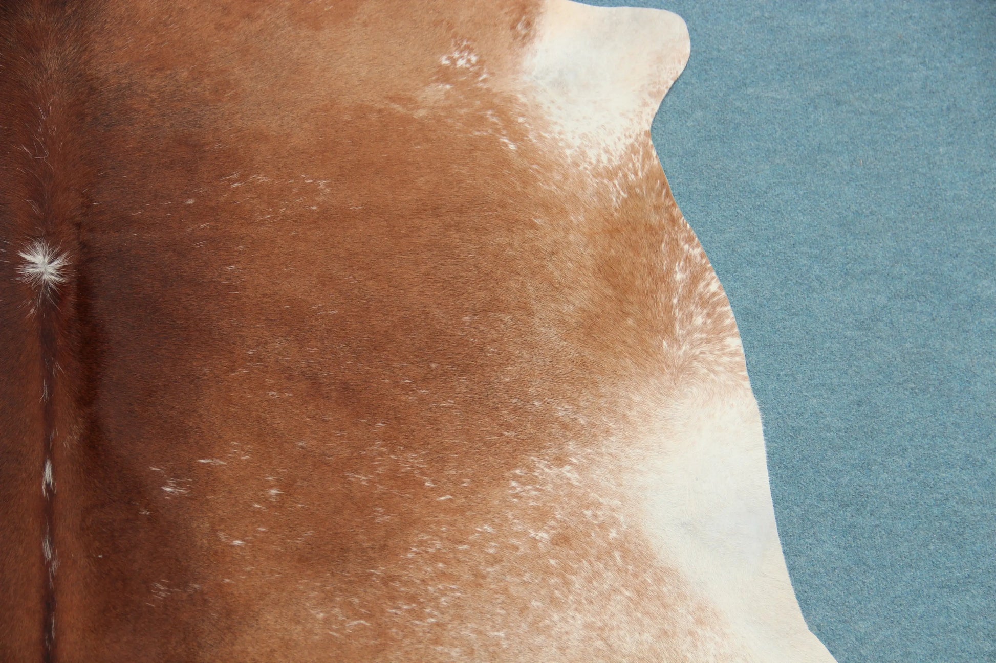 Kuhfell Beige Braun Weiß gesprenkelt (2667) 2-3 qm