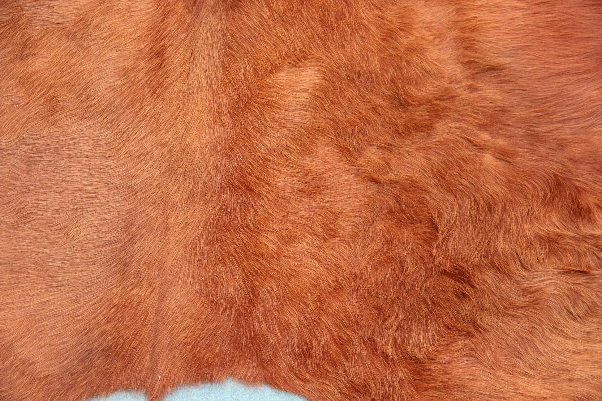 Kuhfell Braun Weiß (3456) 3 -4 qm