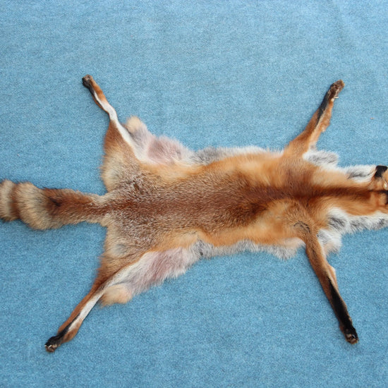 Weiches Rotfuchswinterfell  Ökologisch gegerbt (aus Deutschland)