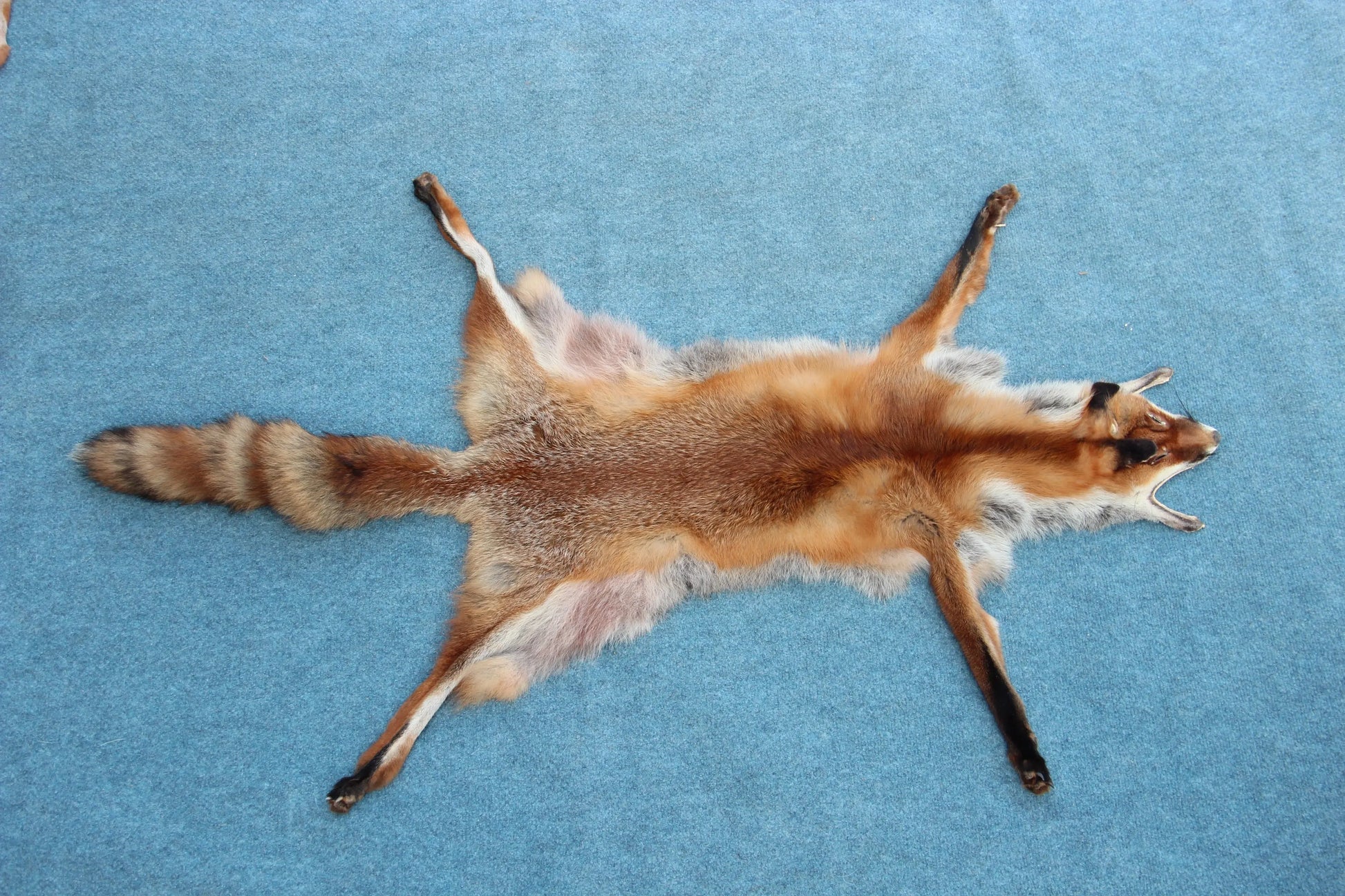 Weiches Rotfuchswinterfell  Ökologisch gegerbt (aus Deutschland)