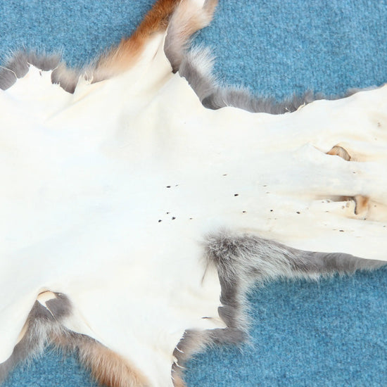 Weiches Rotfuchswinterfell  Ökologisch gegerbt (aus Deutschland)