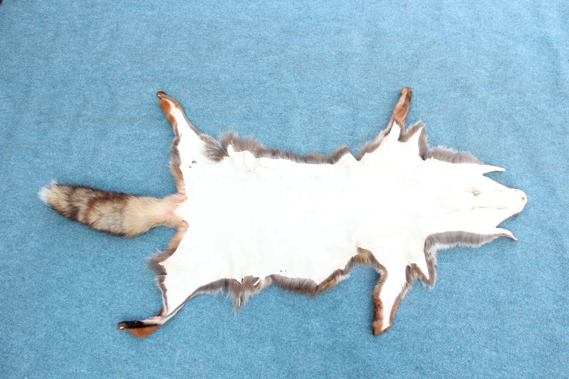 Weiches Rotfuchswinterfell  Ökologisch gegerbt (aus Deutschland)