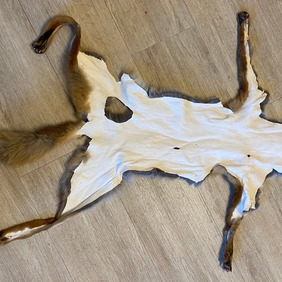 2. Wahl Fuchswinterfell  Ökologisch gegerbt (aus Deutschland)