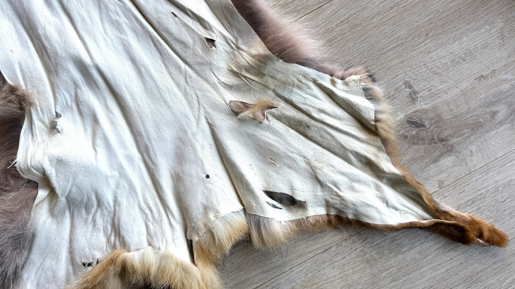 2. Wahl Fuchswinterfell  Ökologisch gegerbt (aus Deutschland)