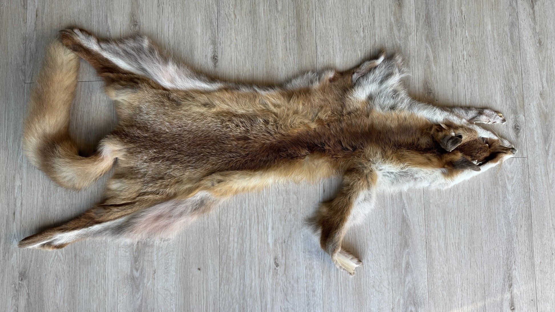 2. Wahl Fuchswinterfell  Ökologisch gegerbt (aus Deutschland)