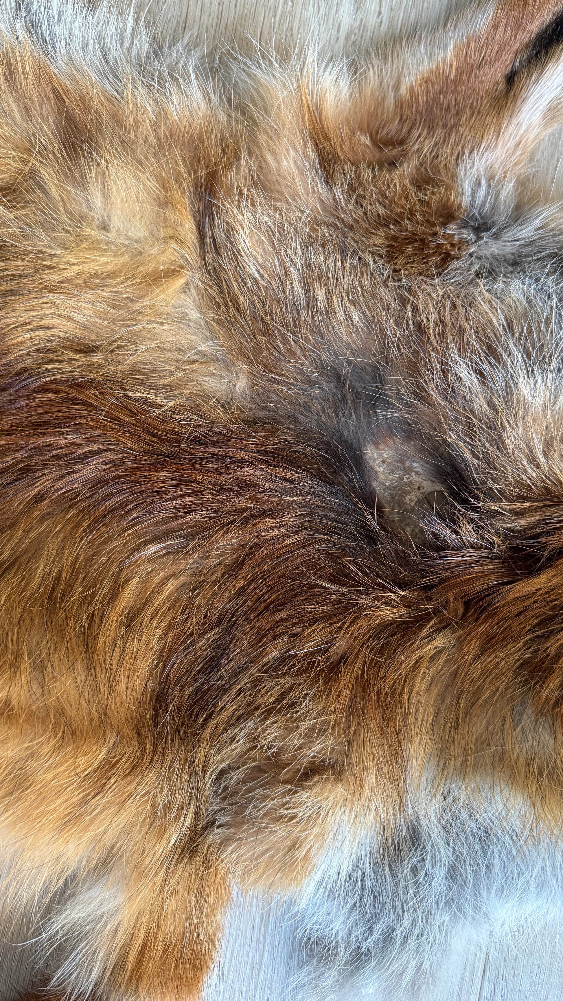 2. Wahl Fuchswinterfell  Ökologisch gegerbt (aus Deutschland)