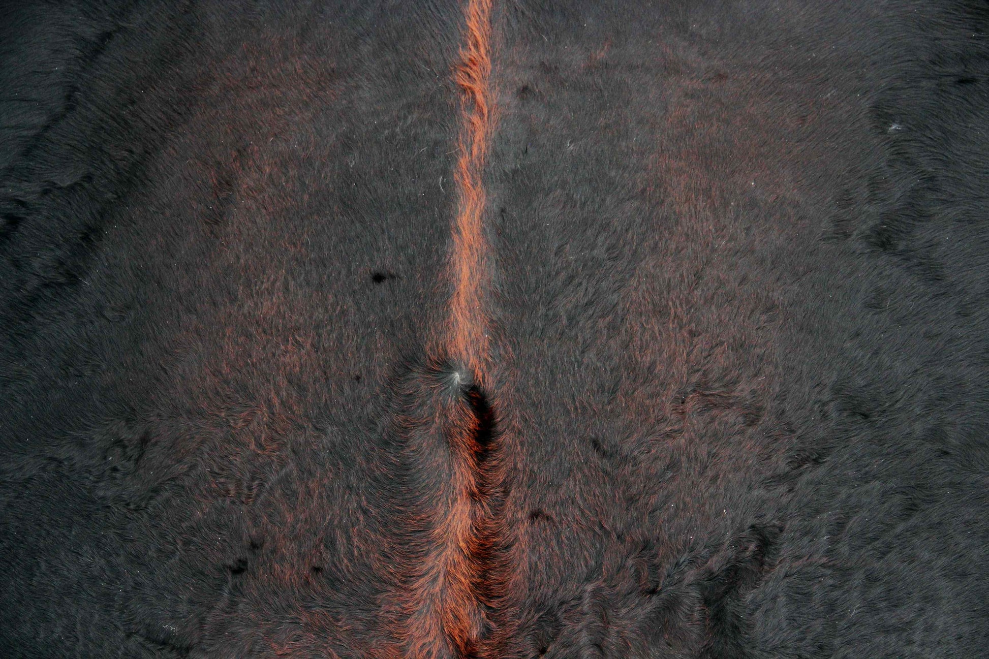 Kuhfell Schwarz Braun Weiß (3463) 3 -4 qm