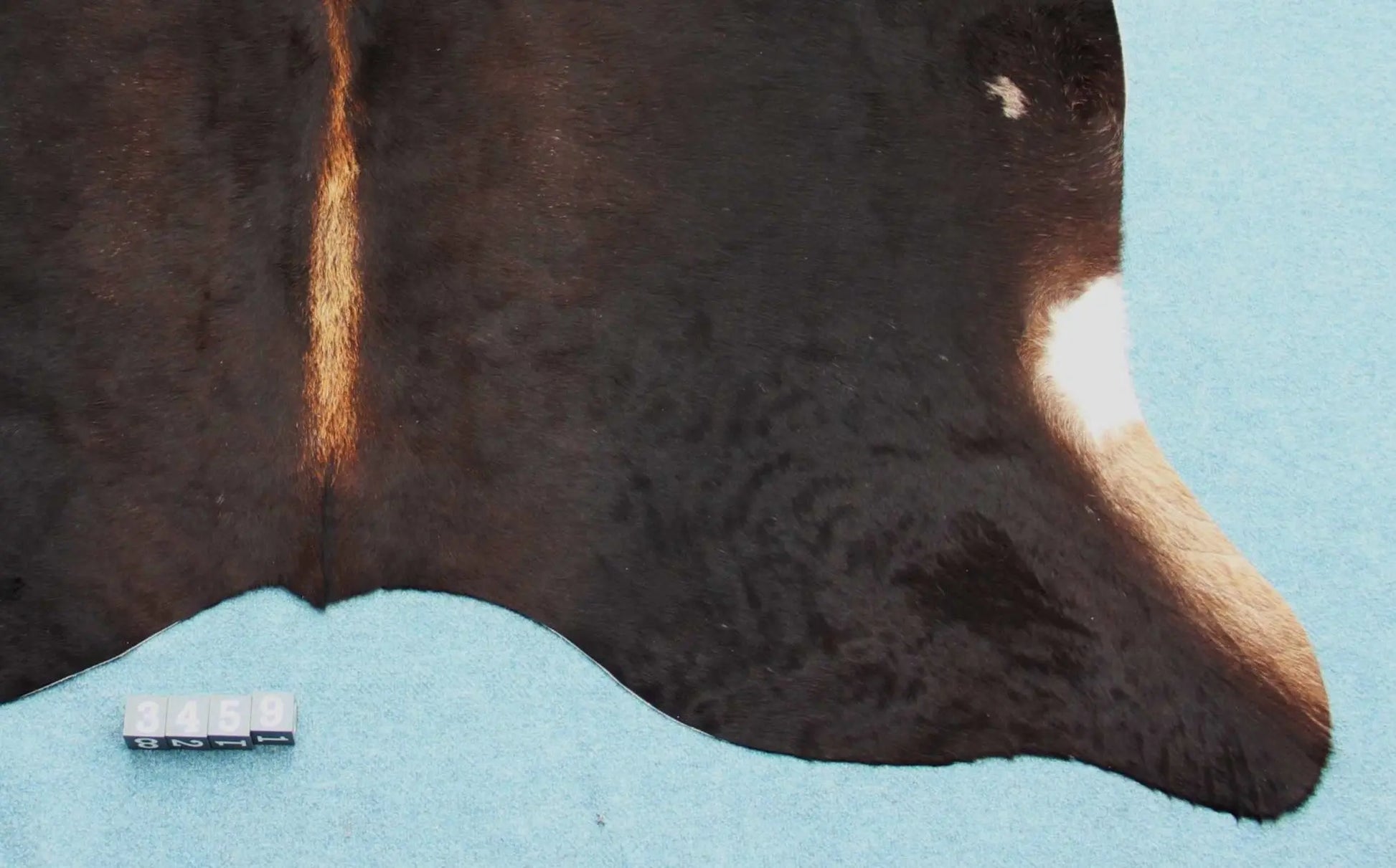 Kuhfell Schwarz Braun Weiß (3459) 3 -4 qm