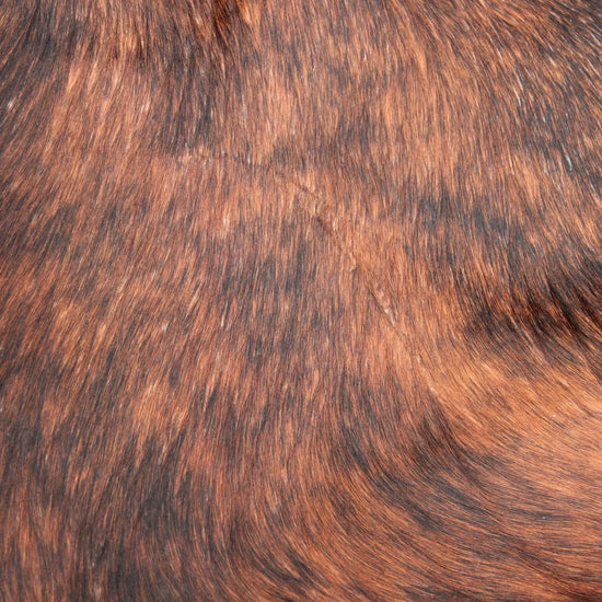 Kuhfell Schwarz Braun Weiß getigert (3466) 3 -4 qm