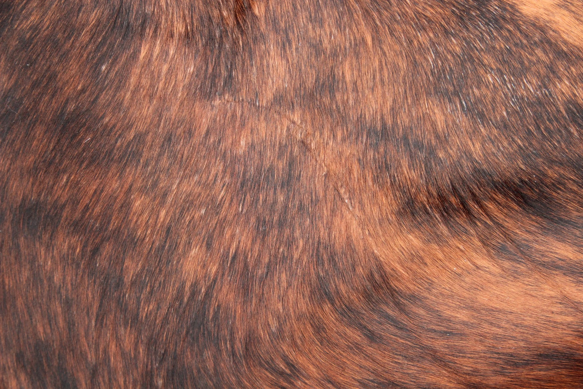 Kuhfell Schwarz Braun Weiß getigert (3466) 3 -4 qm