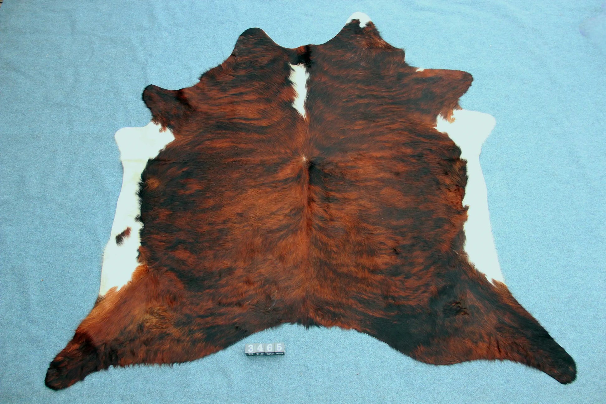 Kuhfell Schwarz Braun Weiß getigert (3465) 3 -4 qm Langhaar