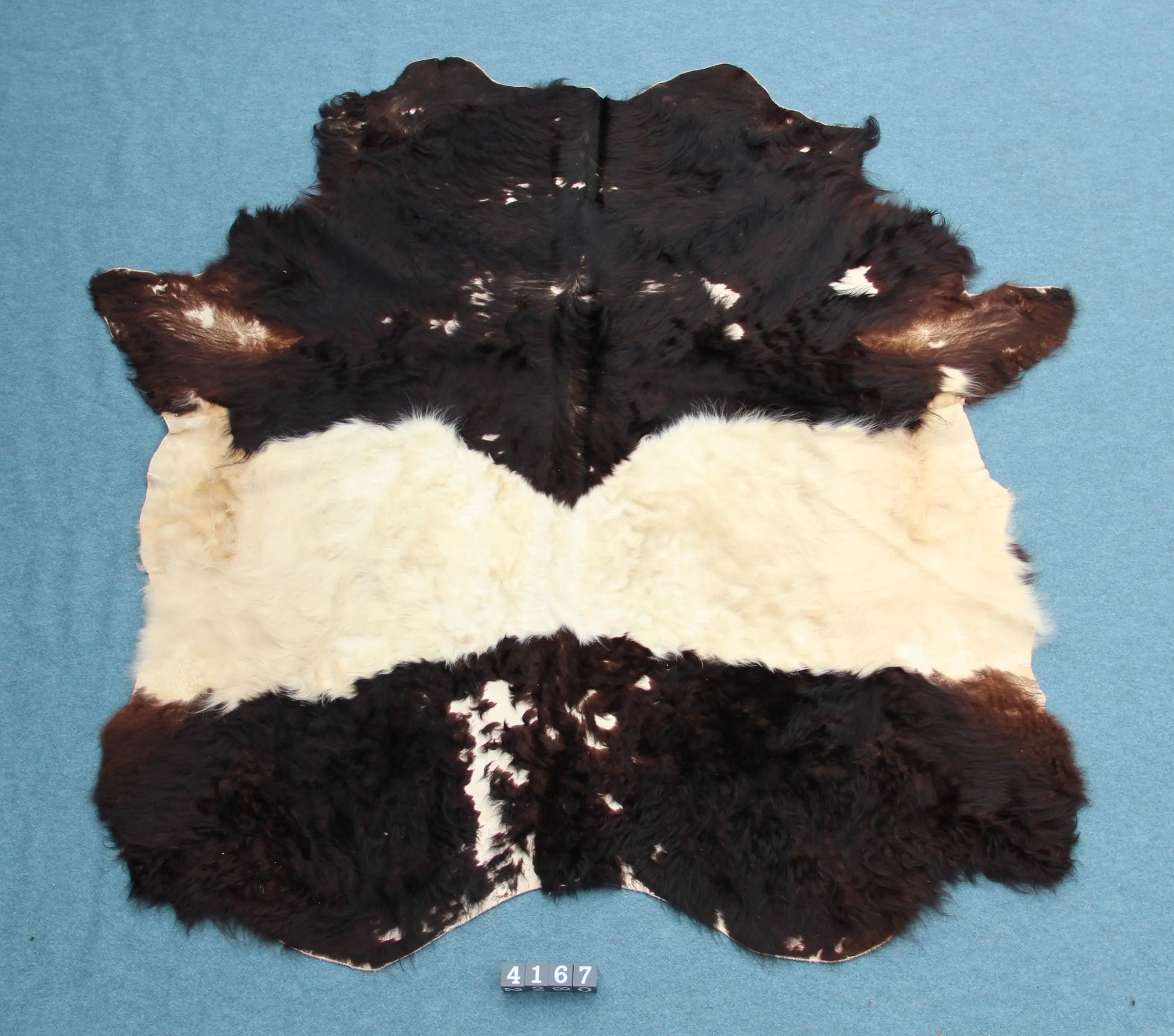 Kuhfell Schwarz Weiß (4167) XXL 4-5qm Langhaar Gelloway 2. Wahl