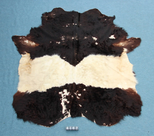 Kuhfell Schwarz Weiß (4167) XXL 4-5qm Langhaar Gelloway 2. Wahl