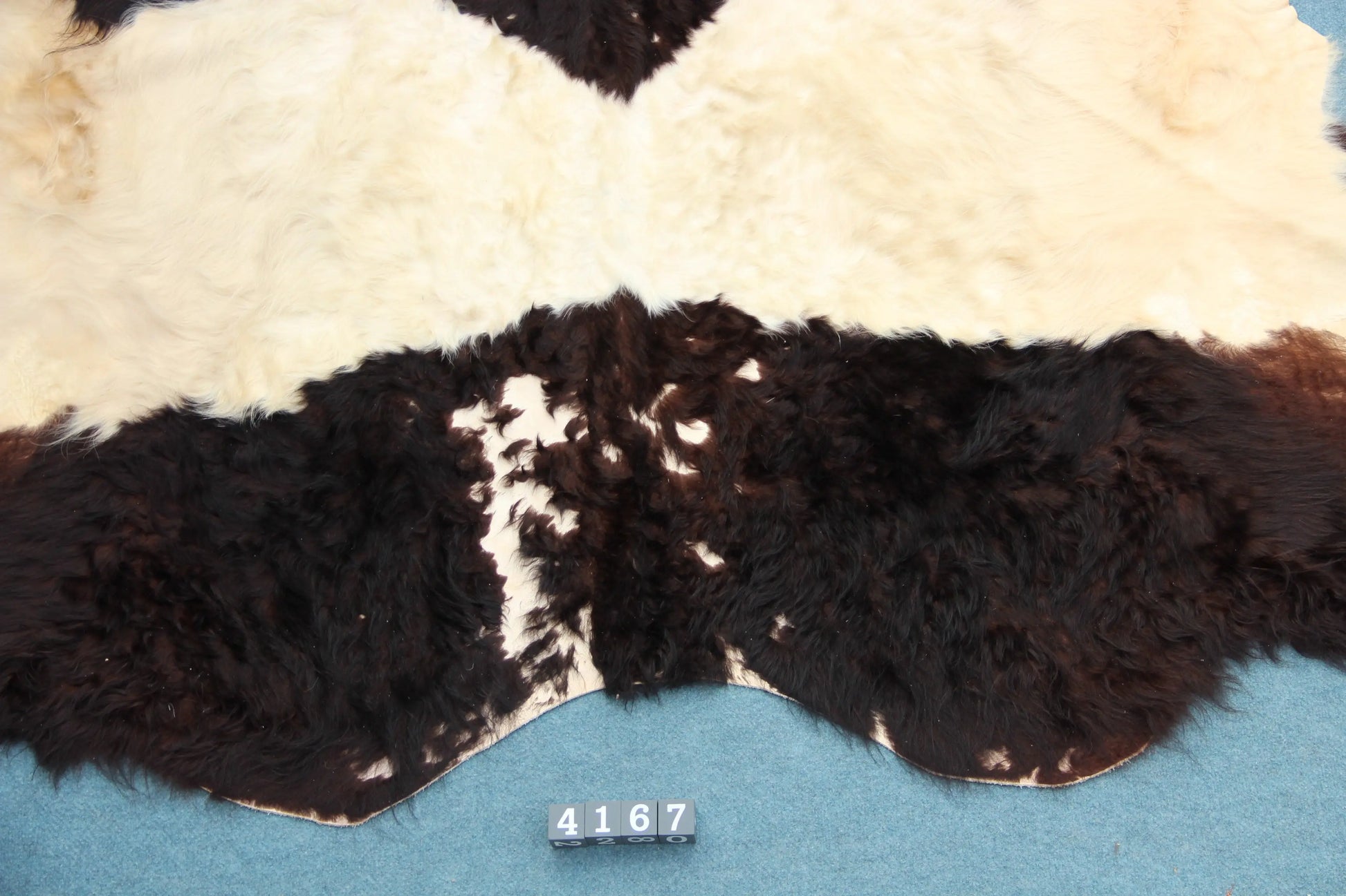 Kuhfell Schwarz Weiß (4167) XXL 4-5qm Langhaar Gelloway 2. Wahl