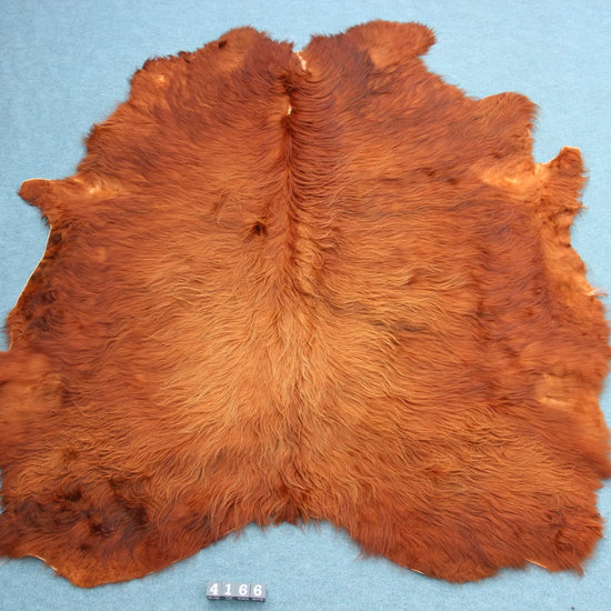 Kuhfell Braun (4166) XXL 4-5qm Langhaar Highländer
