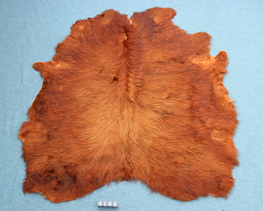 Kuhfell Braun (4166) XXL 4-5qm Langhaar Highländer