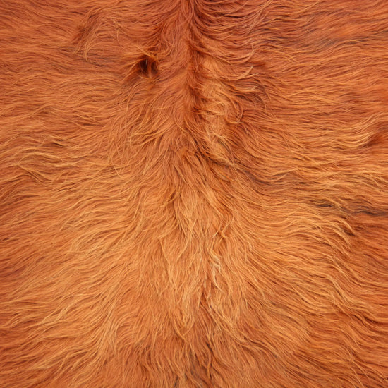 Kuhfell Braun (4166) XXL 4-5qm Langhaar Highländer