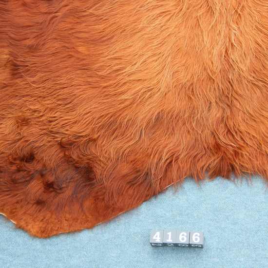 Kuhfell Braun (4166) XXL 4-5qm Langhaar Highländer