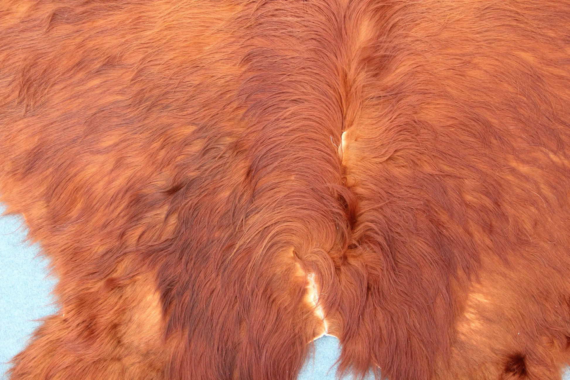 Kuhfell Braun (4166) XXL 4-5qm Langhaar Highländer