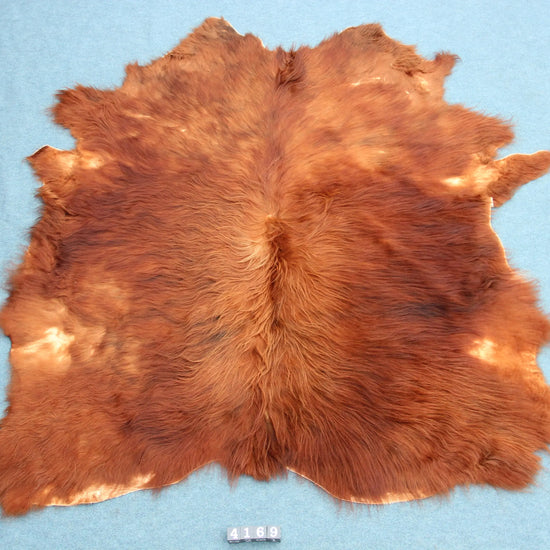 Kuhfell Braun (4169) XXL 4-5qm Langhaar Highländer