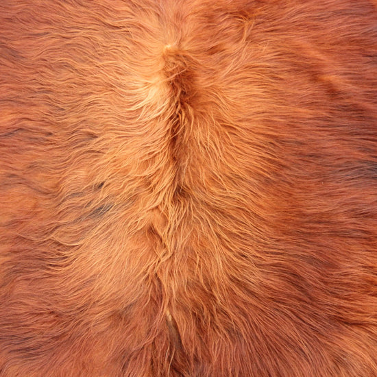 Kuhfell Braun (4169) XXL 4-5qm Langhaar Highländer