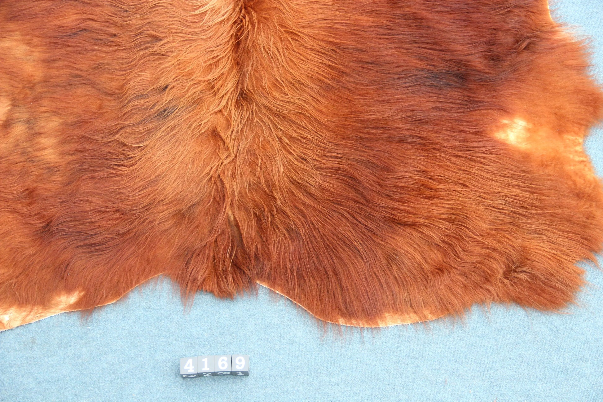 Kuhfell Braun (4169) XXL 4-5qm Langhaar Highländer
