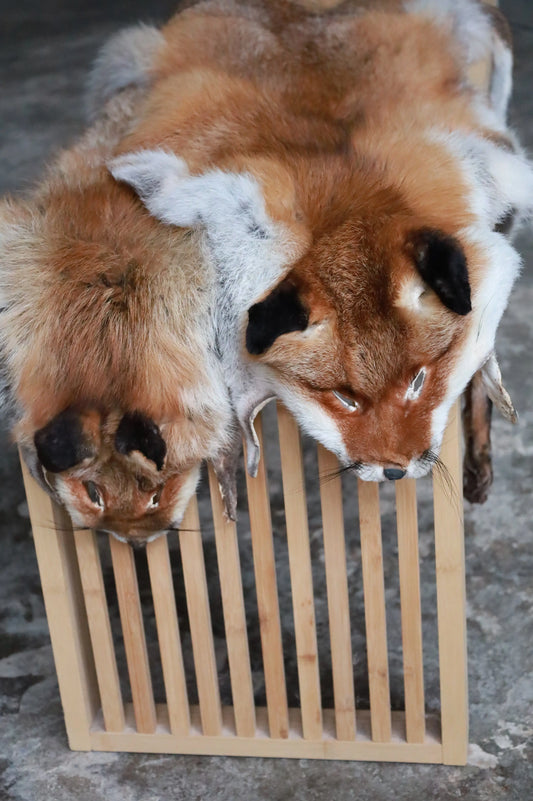 Angebot: 5x weiche Rotfuchswinterfelle  Ökologisch gegerbt (aus Deutschland)