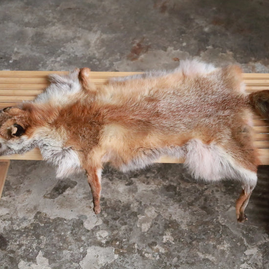 Angebot: 5x weiche Rotfuchswinterfelle  Ökologisch gegerbt (aus Deutschland)